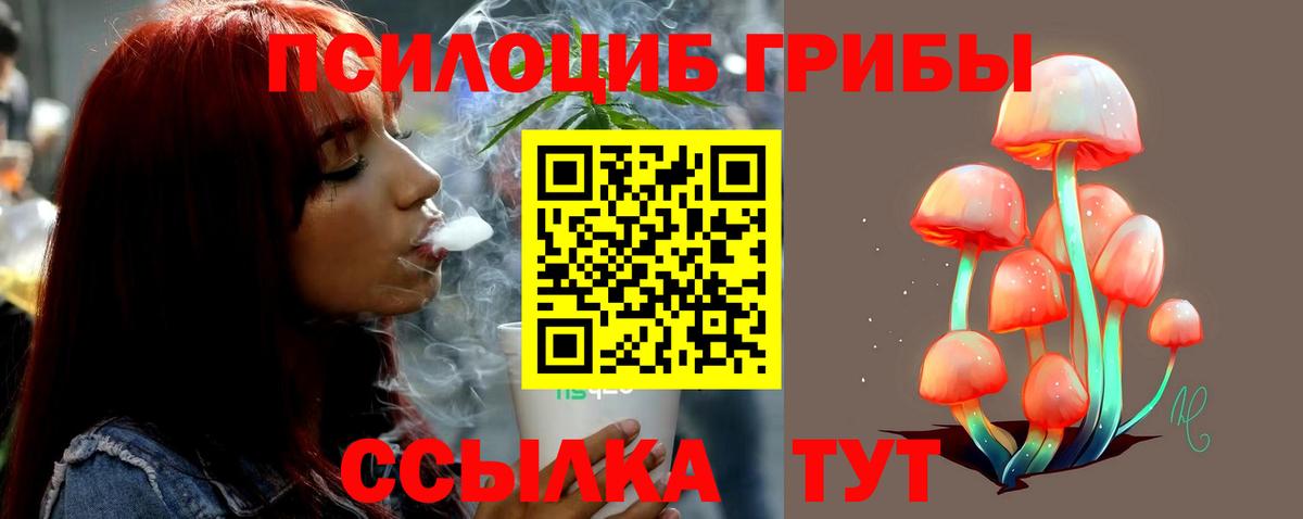 Псилоцибиновые грибы Psilocybe Ейск